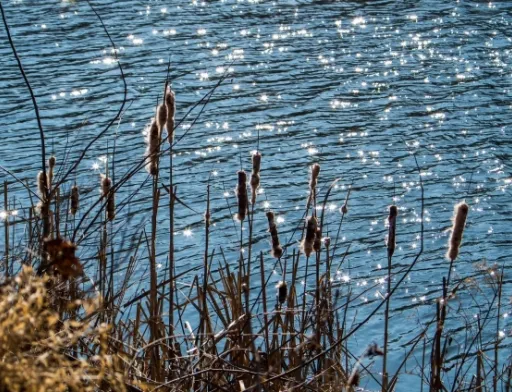 В Україні можуть обмежити водокористування