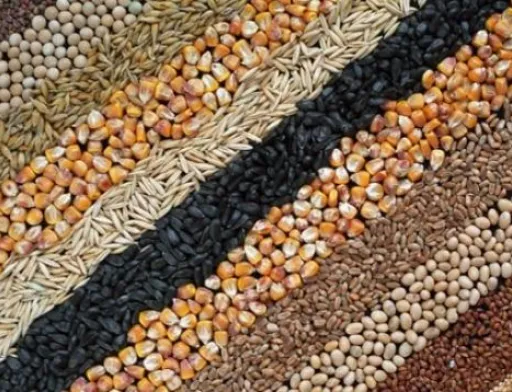 Сільгоспвиробники Чернігівщини нарощують валове виробництво продукції