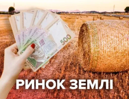 В Мінагрополітики підрахували середню вартість 1 га землі