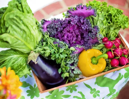 Україна експортує близько 80% виробленої органічної продукції