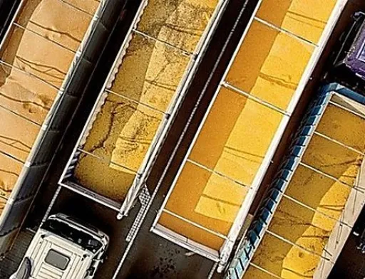 Кабмін розширив критерії включення до переліку верифікованих експортерів агропродукції