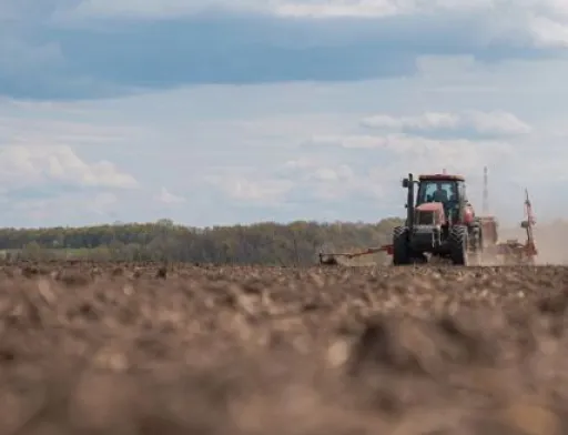 Міни на полях та брак коштів — в таких умовах пройде весняна посівна