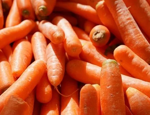 Виробники вирішили продавати моркву: ціни відразу впали