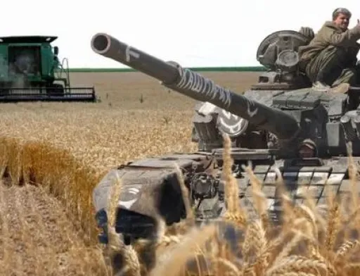 На Херсонщині окупанти не можуть вкрасти зерно, тому що вкрали комбайни