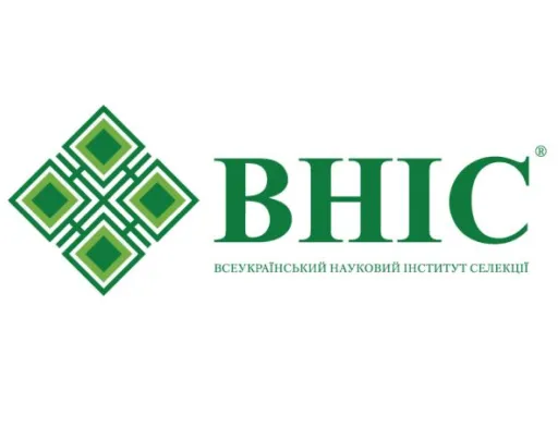 ВНІС продовжує працювати в умовах воєнного стану