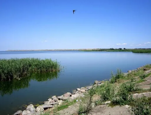 Законопроєкт щодо порядку оренди водних об'єктів у комплексі з земельними ділянками ухвалили в другому читанні