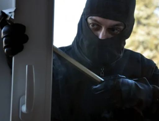 На Миколаївщині у фермера з дому вкрали понад 200000 грн і пістолет