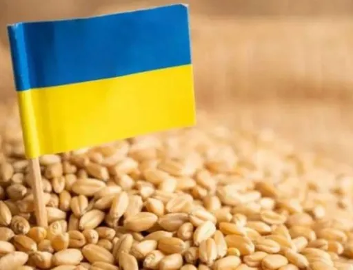 США вивчають маршрути експорту українського зерна через Румунію та Молдову
