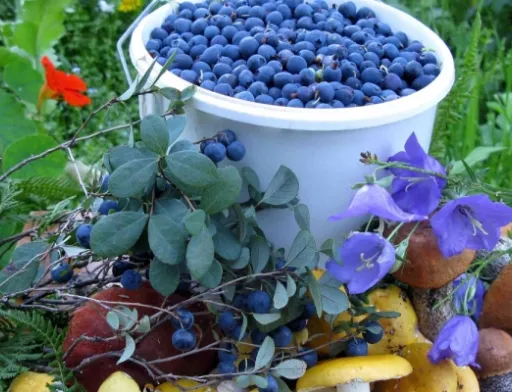 Перш за все для європейського ринку важливий імідж продукції