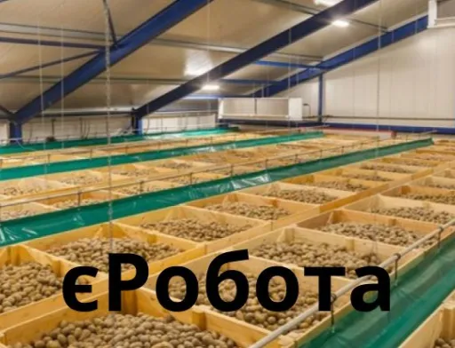 В НБУ створили спеціальний рахунок для фінансування програми єРобота