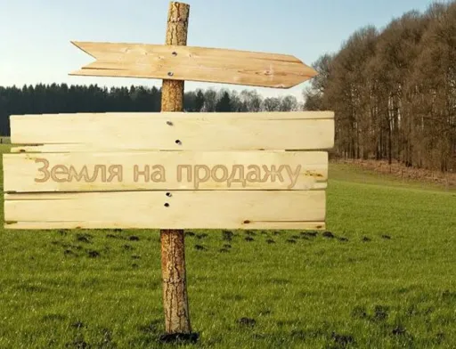 Андрій Мартин: "В Україні дуже люблять порівнювати наші ціни на землю з європейськими. Але треба розуміти просту річ: земля коштуватиме рівно стільки, скільки вона зможе приносити прибутку своєму власнику"