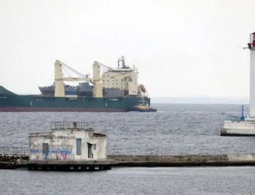 На заблокованих росією кораблях знаходиться більше 1 млн тонн зернових та олійних