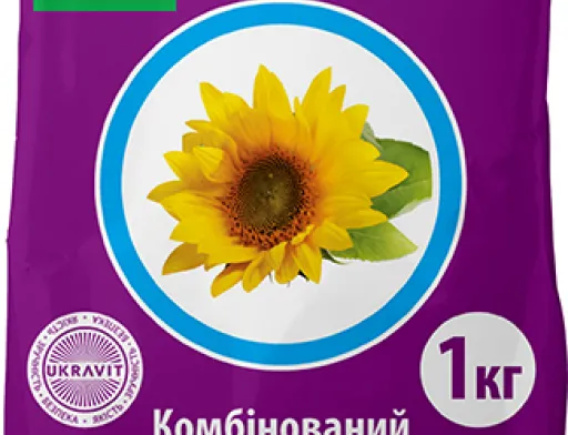 Ефективний захист соняшника від фомозу та гнилей