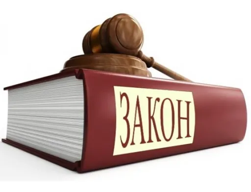 ЭКА на добровольных началах осуществляет страхование, перестрахование, предоставляет гарантии по договорам, обеспечивающих развитие экспорта, а также принимает участие в реализации программы частичной компенсации процентной ставки по экспортным кредитам