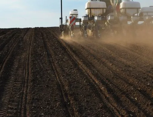 Запаси продуктивної вологи під озимими культурами недостатні, – Укргідрометеоцентр