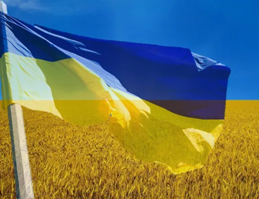Україна експортувала 47.7 млн тон зерна