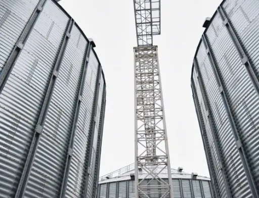 Завод на Черкащині перероблятиме до 300 тонн кукурудзи на добу