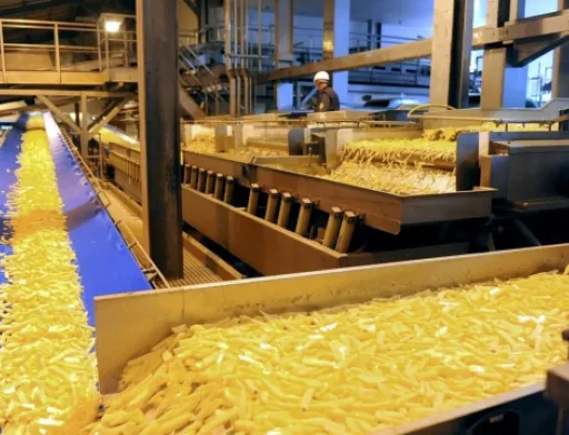 Potato Agro запустить в Україні завод із виробництва картоплі фрі