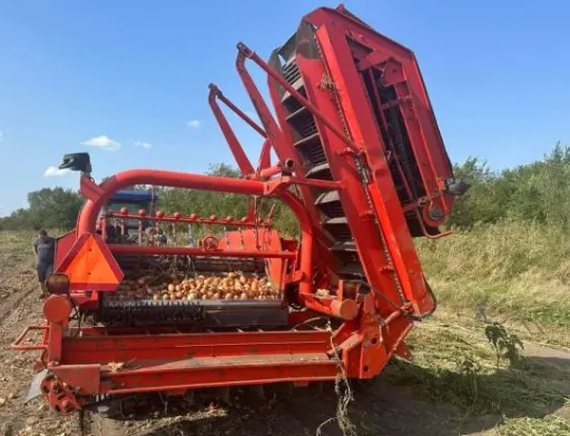Через брак працівників доводиться збирати овочі комбайнами