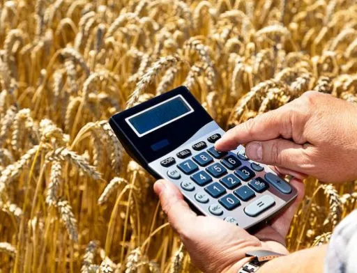 В 2023 році збитки аграріїв сягнуть $5-6 млрд, не рахуючи втрат від війни