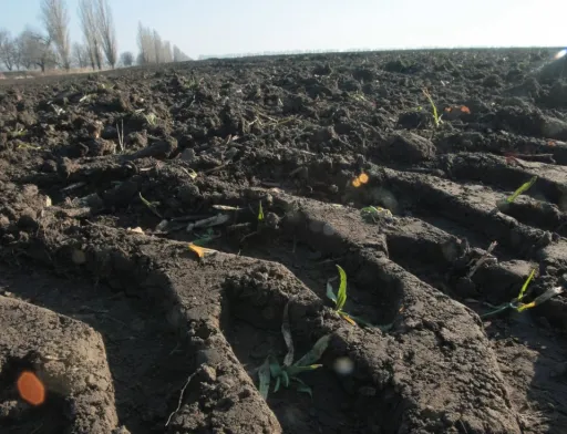 Якщо землю почнуть продавати в приватну власність, то це призведе до того, що Україна втратить можливість розвивати інфраструктуру