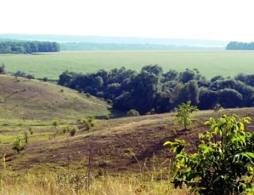 Нардепи пропонують скасувати перевірку правонабувачів невеликих ділянок