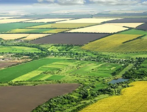 На Київщині держреєстратор вилучила з комунальної власності 23 га землі на користь сільськогосподарського підприємства