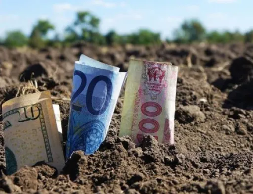 Земля подорожчає: скільки дадуть за гектар після відкриття ринку