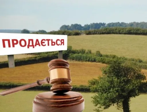 Гендиректор “Нібулона” за зняття мораторію з продажу землі