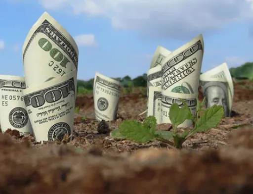 Після відкриття ринку землі вартість 1 га в Україні буде не нижче $3 тис., - депутат