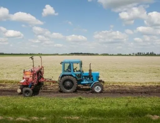 За даними опитування AgriSurvey, проведеного на замовлення Alexandrov & Partners, понад 60% агрокомпаній не готові купувати землю. Масового скуповування земельних паїв не буде