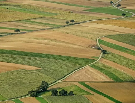За крок до продажу землі…