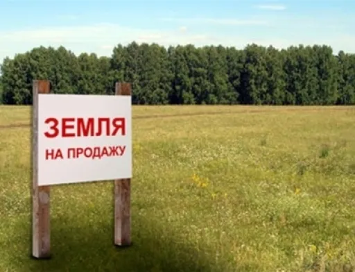 В Україні продано майже 20 тис. га сільськогосподарських земель
