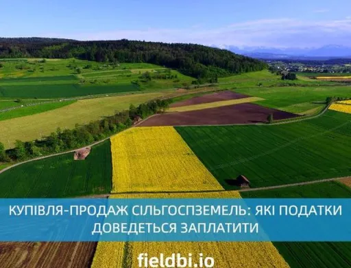 Які податки доведеться сплатити при купівлі-продажу землі