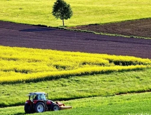 Як оподатковуватимуться операції купівлі-продажу сільськогосподарської землі?
