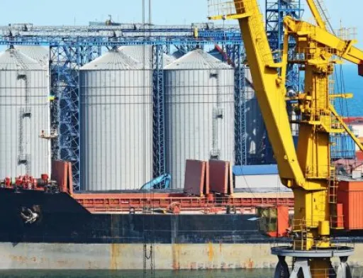 Міжнародні трейдери вперше з початку війни почали купляти зерно в українських портах