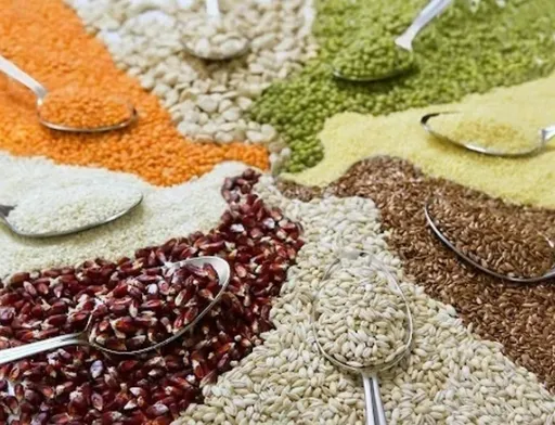 Міжнародна зернова рада включила до зернових нові продукти