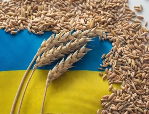 Україна підпише з Польщею нову «зернову угоду»