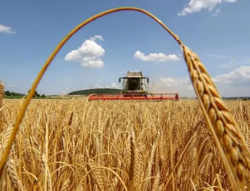 Окупанти радіють з того, скільки можна вкрасти на Луганщині