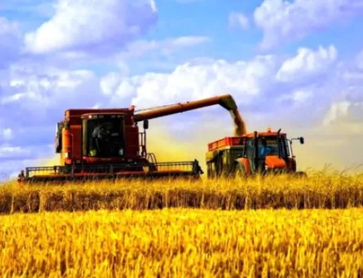 На Хмельниччині почались проблеми зі зберіганням нового врожаю