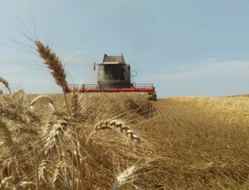 Аграрії Вінниччини намолотили перший мільйон тонн зерна