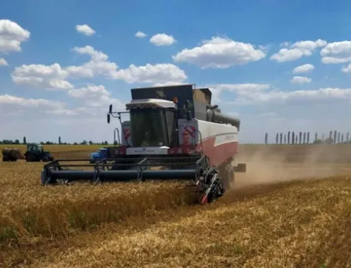 Особливих надій на високий урожай немає: в Миколаївській області завершують збір ранніх зернових та зернобобових