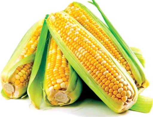 У AgroBrokBot уклали першу угоду по ф'ючерсу на кукурудзу