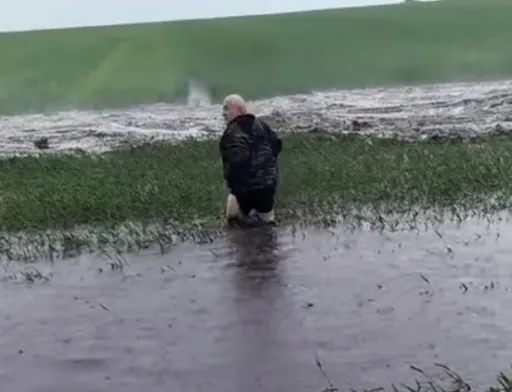 На Дніпропетровщині внаслідок зливи постраждали поля пшениці