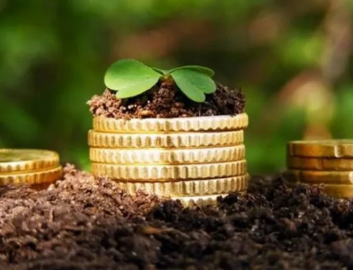 Названо ціну 1 га землі після старту земельної реформи