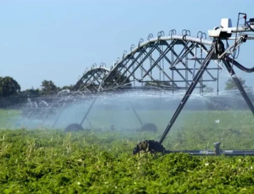 Висоцький розповів про 3 моделі розвитку зрошення в Україні
