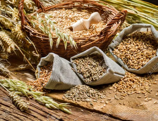 Компания "Мироновский хлебопродукт" (МХП) - один из крупнейших производителей мяса птицы в Украине, планирует выращивать органическое зерно для поставок в страны ЕС