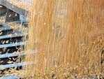 Ринок зернових:  високі світові ціни на зерно підживлюють інфляцію фото, ілюстрація