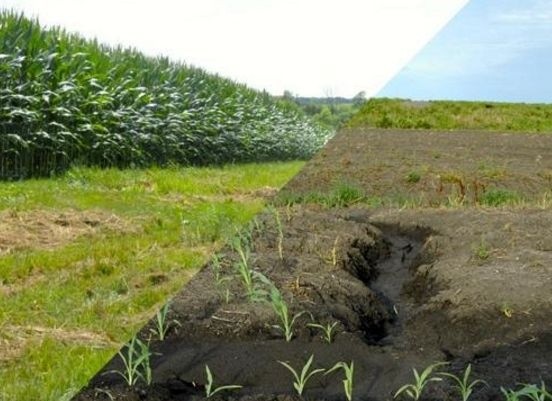 Ерозія ґрунтів: боротися з проблемою, а не з симптомами фото, ілюстрація