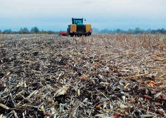 Зимова кукурудза та обробіток ґрунту  фото, ілюстрація